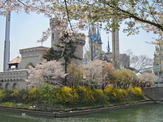 Seokchon Lake Cherry Blossom Festival