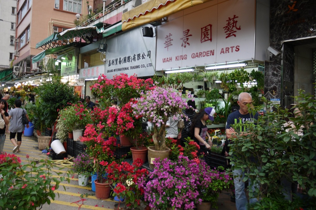 Flower Market Road-hong-kong-explore the fullest hong kong only 3 days