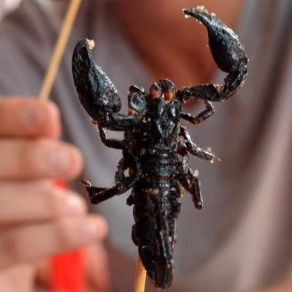 yaowarat street food chinatown bangkok street food scorpius