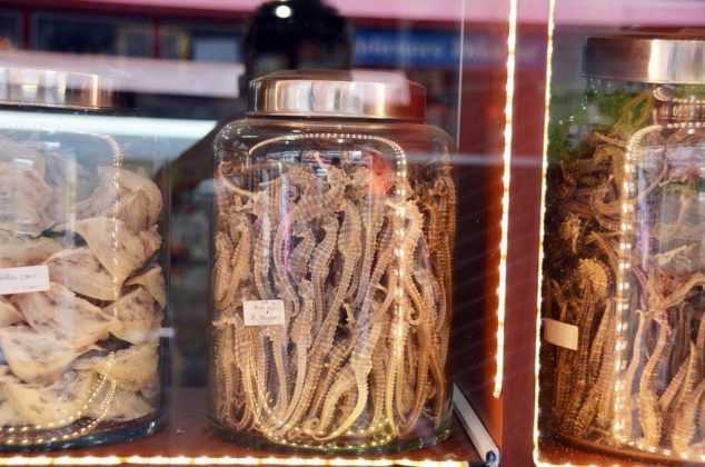 yaowarat street food chinatown bangkok street food sea horse