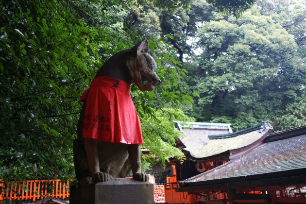 Fushimi Inari Shrine - One of the most famous shrine in Japan (1)1
