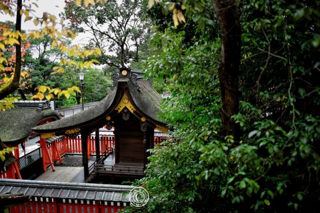 Fushimi Inari Shrine - One of the most famous shrine in Japan (4)