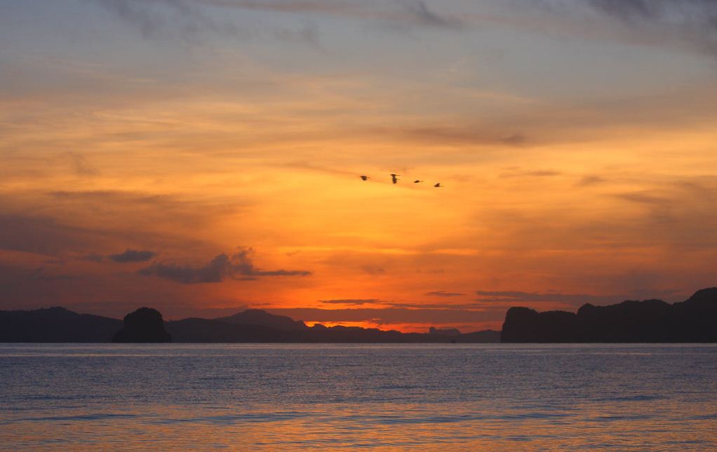 beach at koh yao noi