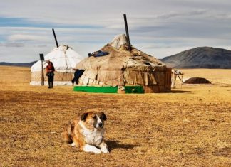 Mongolian tent-best experiences-in Mongolia2