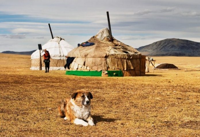 Mongolian tent-best experiences-in Mongolia2 Mongolian tent-best experiences-in Mongolia2