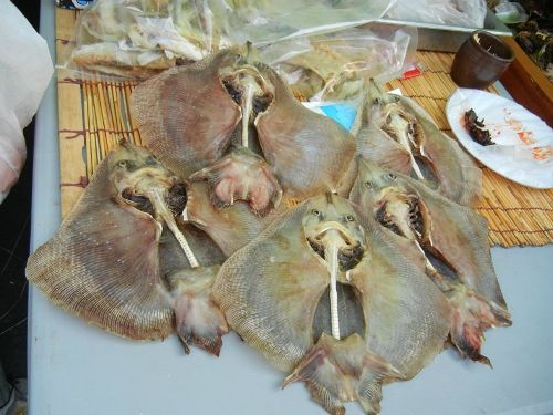 dac-san-ca-duoi-boc-mui-toilet-cua-han-quoc-ivivu-1