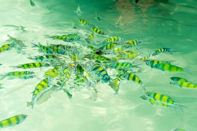 krabi itinirary blog krabi activities krabi travel guide things to do (1)