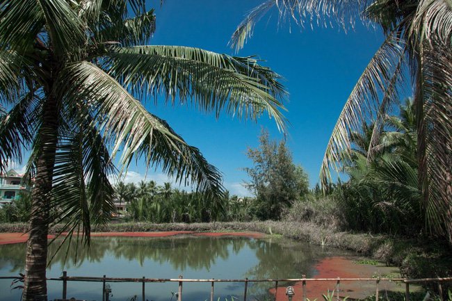 an villa hoi an vietnam (1)