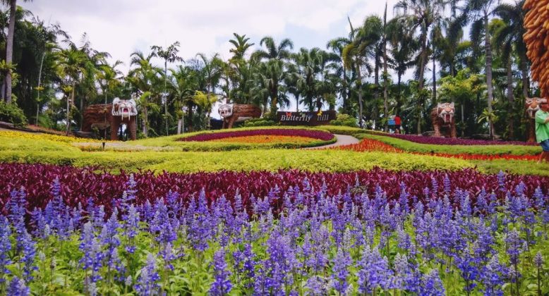 butterfly garden nong nooch tropical botanical garden pattaya thailand 2