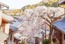 Japan on a budget — 5 tips on how to save money while traveling in Japan japan cheap travel tips 3