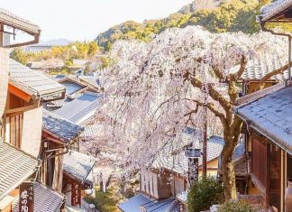 japan cheap travel tips 3