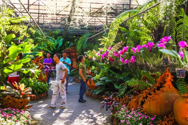 nong nooch tropical botanical garden pattaya thailand (51)