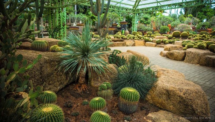 nong nooch tropical botanical garden pattaya thailand (51)