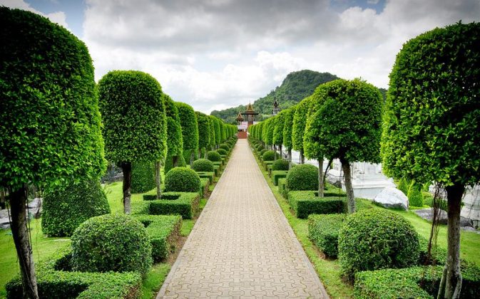 nong nooch tropical botanical garden pattaya thailand (51)