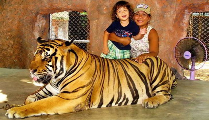 nong nooch tropical botanical garden pattaya thailand (51)