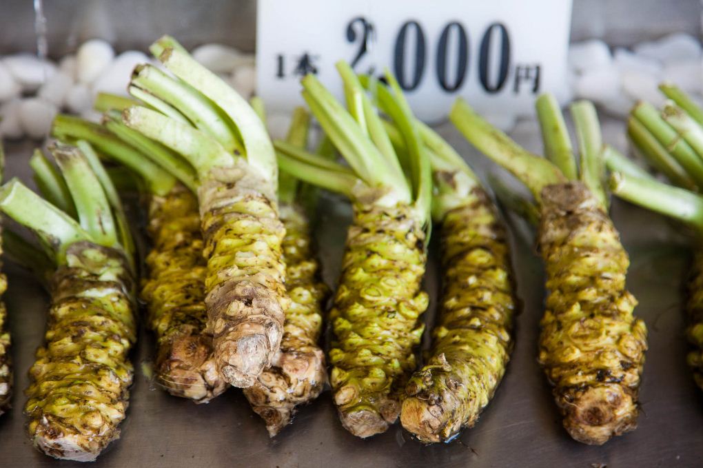 wasabi at stores