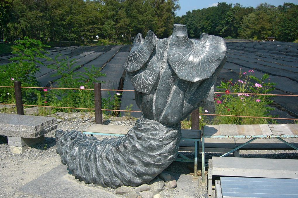 wasabi farm nagano daio wasabi farm shizuoka city nagano prefecture (7)