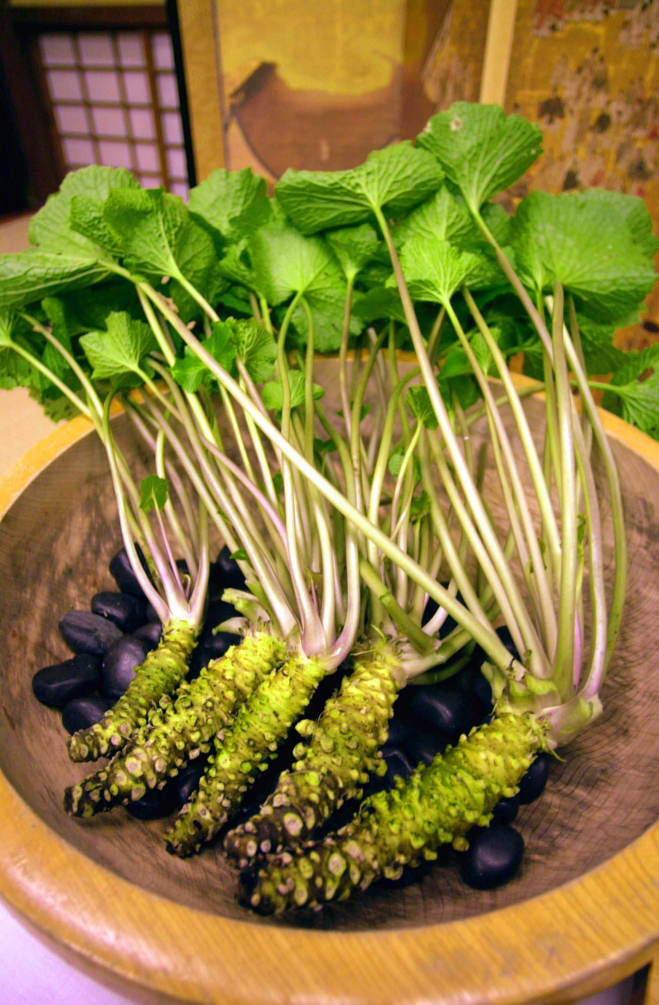 wasabi japan