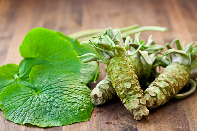 wasabi how to make how to grow wasabi dish history origin wasabi (3)