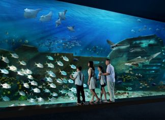 sea aquarium singapore