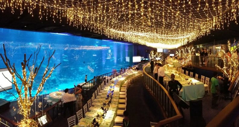 sea aquarium singapore