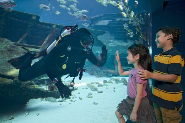 sea aquarium singapore