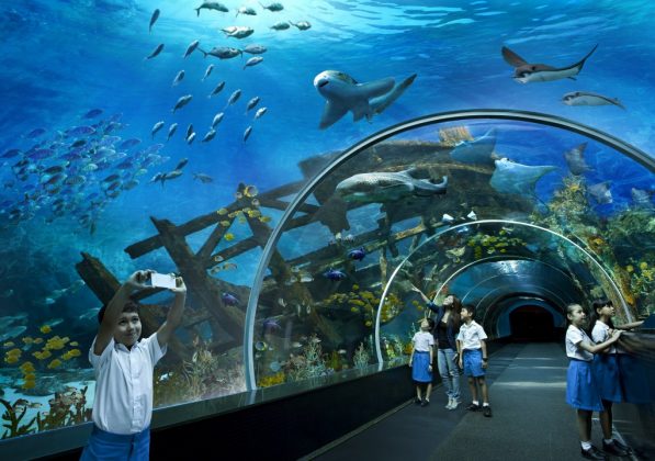 sea aquarium singapore