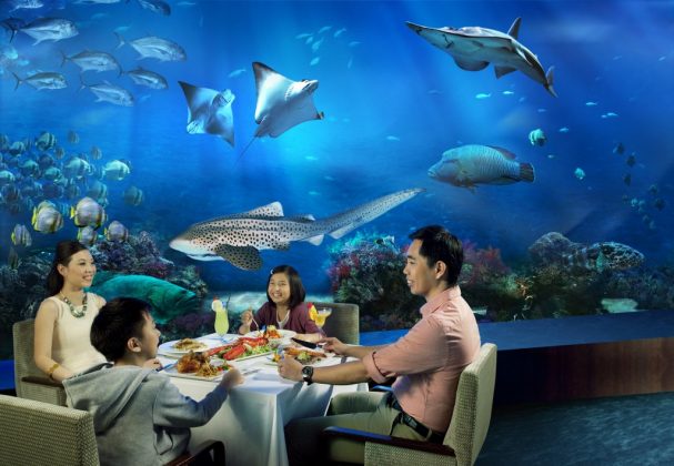 sea aquarium singapore
