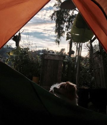 the shelter homestay da lat vietnam (1)
