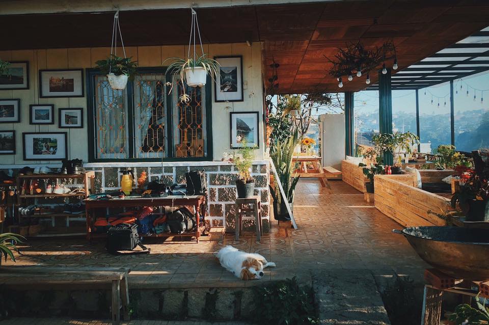 the shelter homestay da lat vietnam (1)