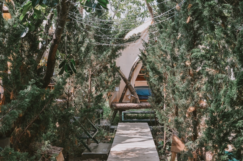 the shelter homestay dalat vietnam (1)