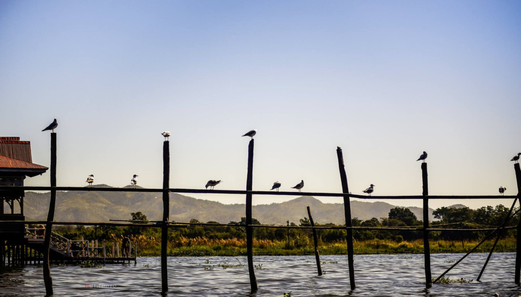inle lake burma myanmar tour day trip best time to visit (1)