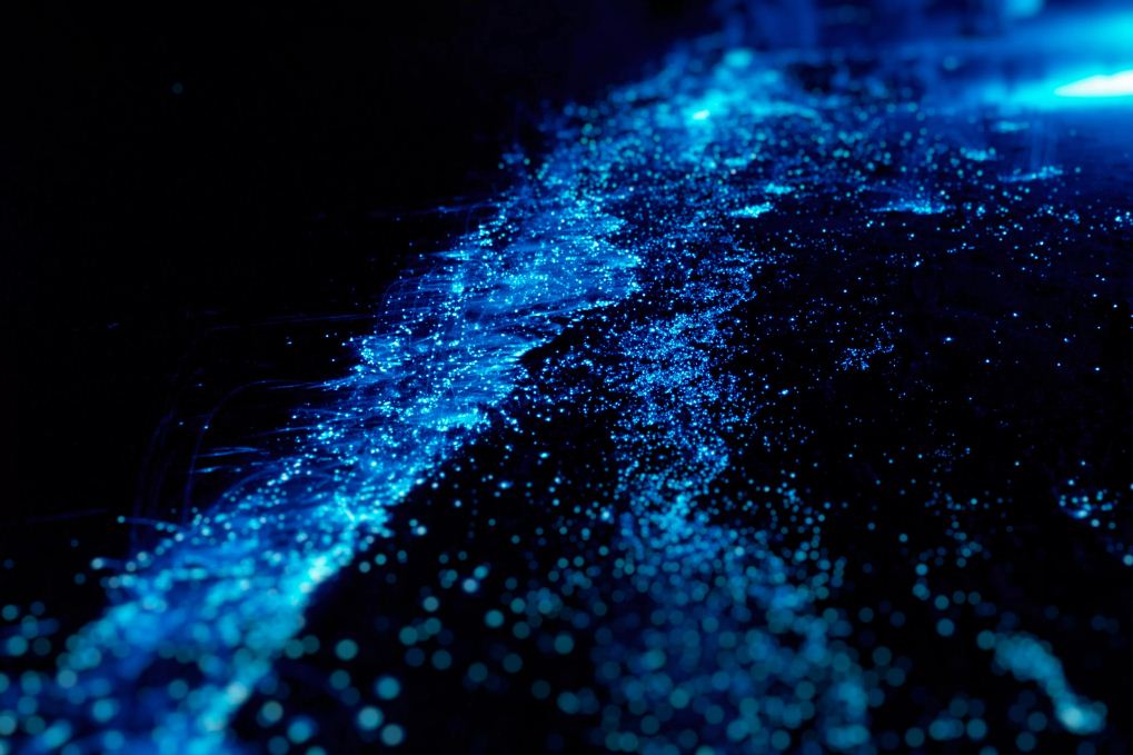 Glowing plankton, Koh Rong Islands Koh Rong beach
