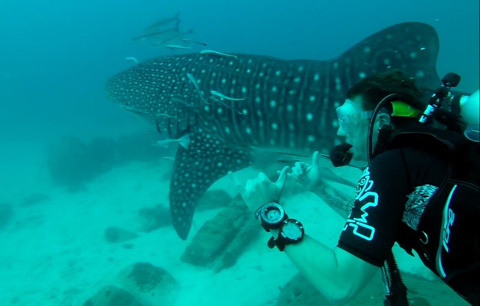 koh rong diving