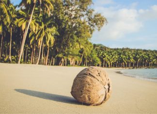 palm beach koh rong island cambodia 2