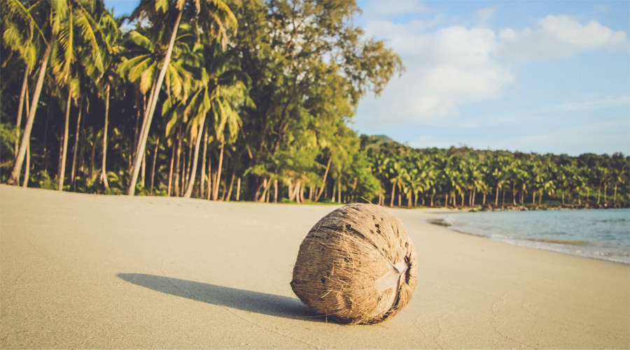 palm beach koh rong island cambodia 2