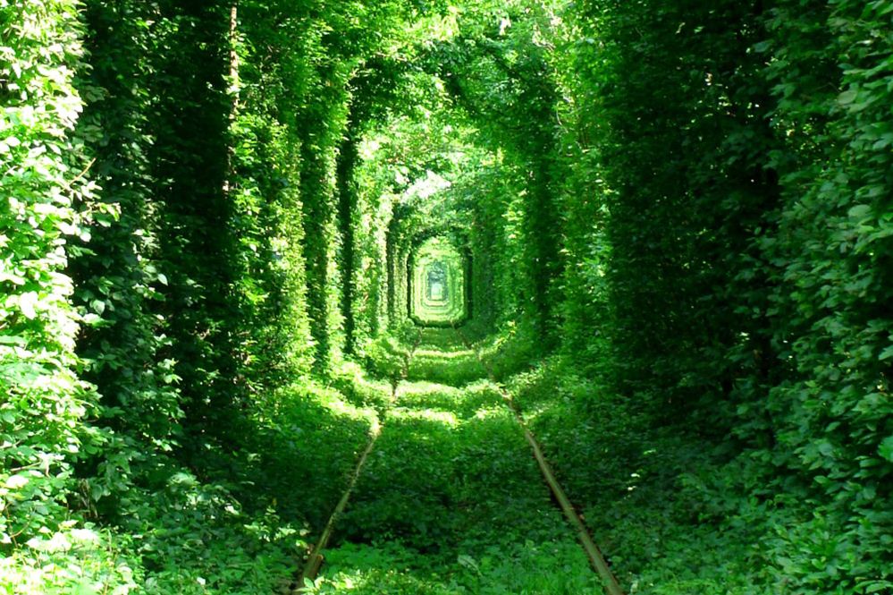 tunnel of love ukraine summer