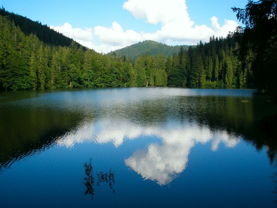 synevir lake ukraine (1)