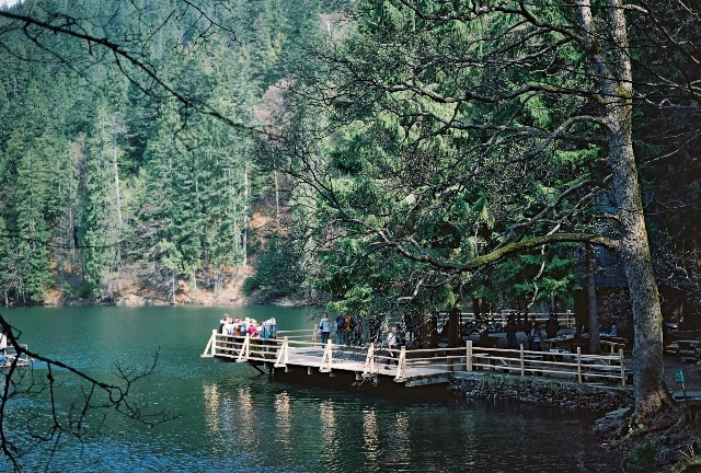 synevir lake ukraine (5)