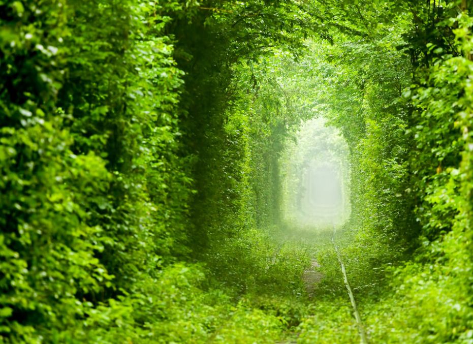 tunnel of love ukraine 3