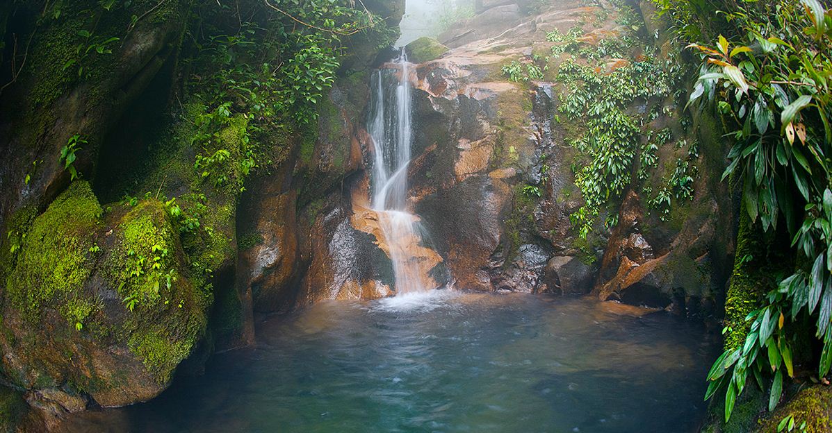 Bidoup Nui Ba National Park (1)