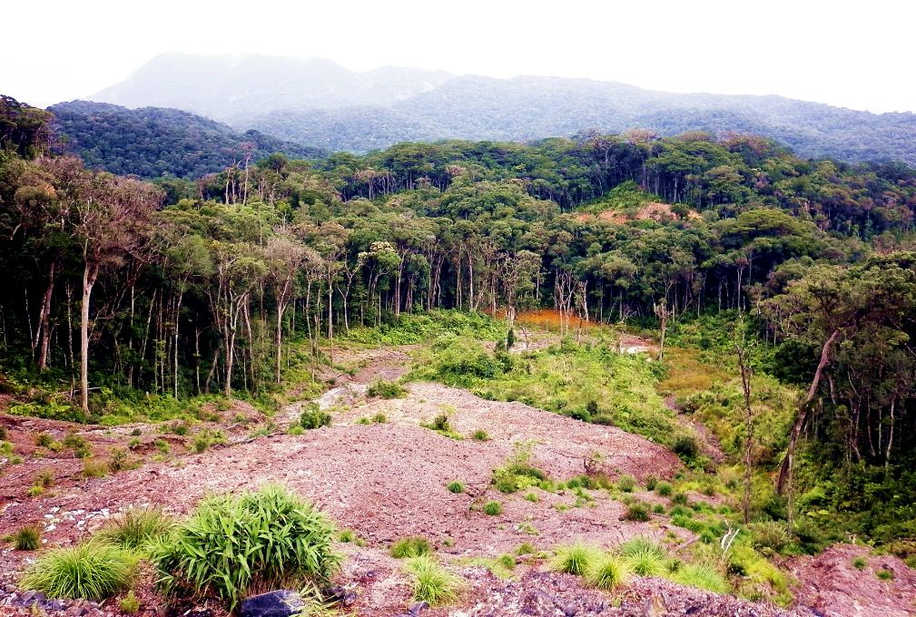 Bidoup Nui Ba National Park (2)