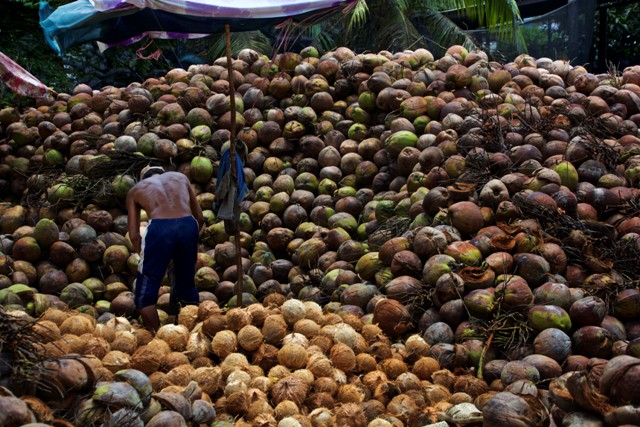ben tre province vietnam (1)