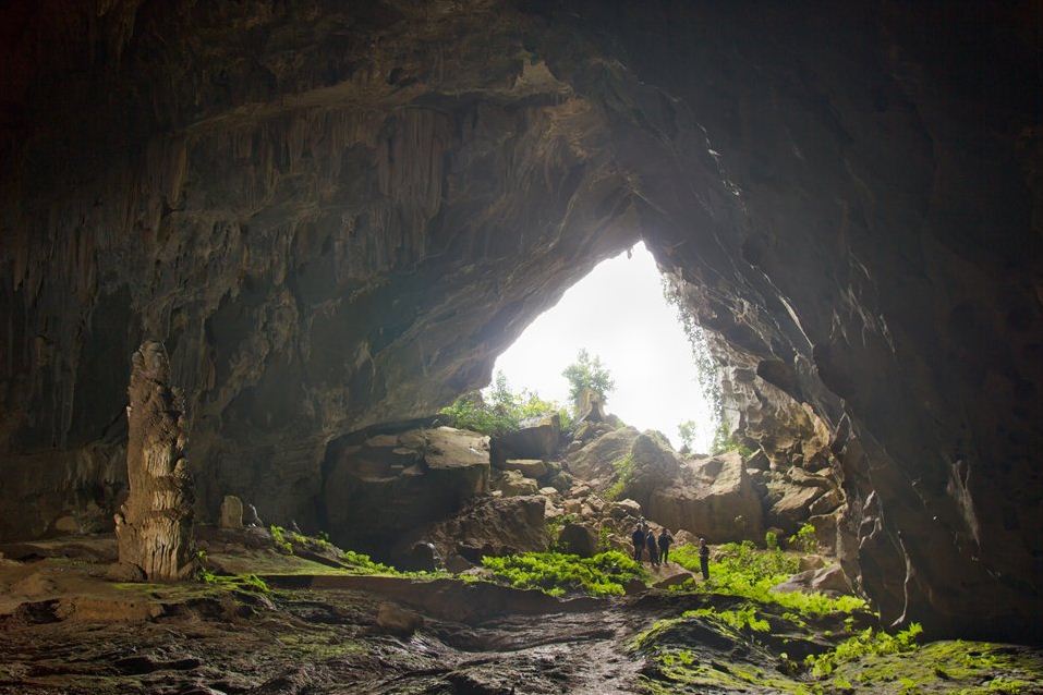 chuot cave quang binh hang chuot