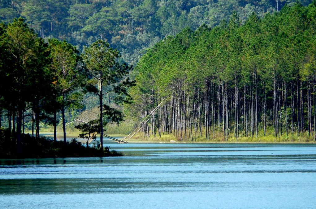 tuyen lam lake dalat (4)