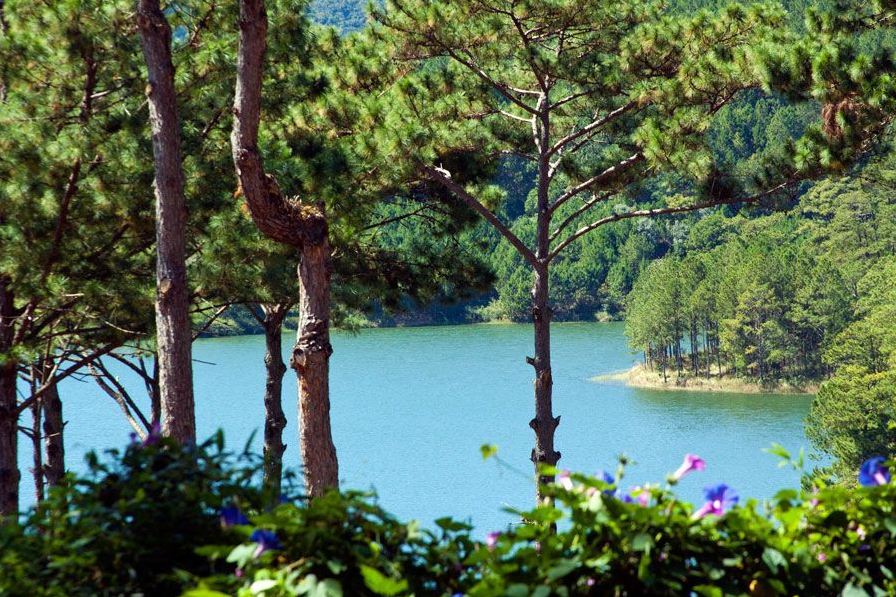 tuyen lam lake dalat (7)
