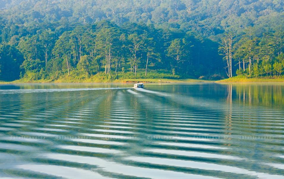 tuyen lam lake dalat (5)