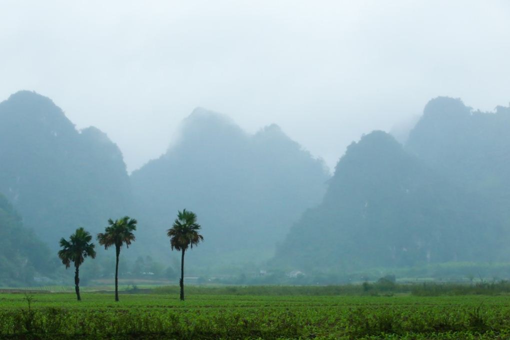 yen phu village