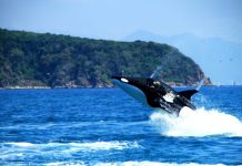 Fascinating with ‘Dolphin riding’ at Hon Tam Island, Vietnam hon tam island nha trang activities (1)