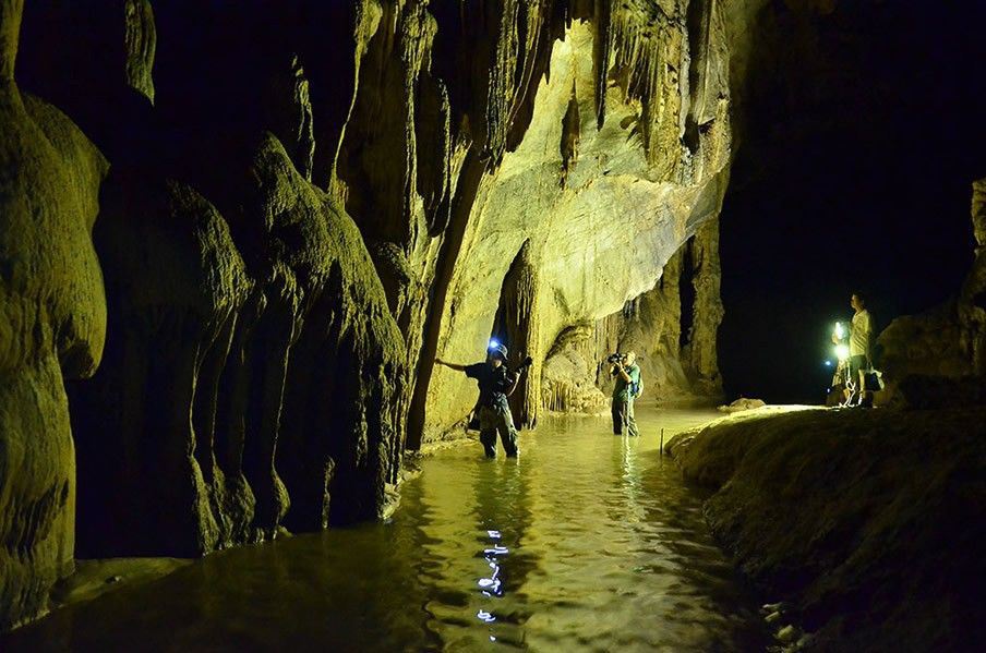 dong thien duong paradise cave phong nha quang binh (1)